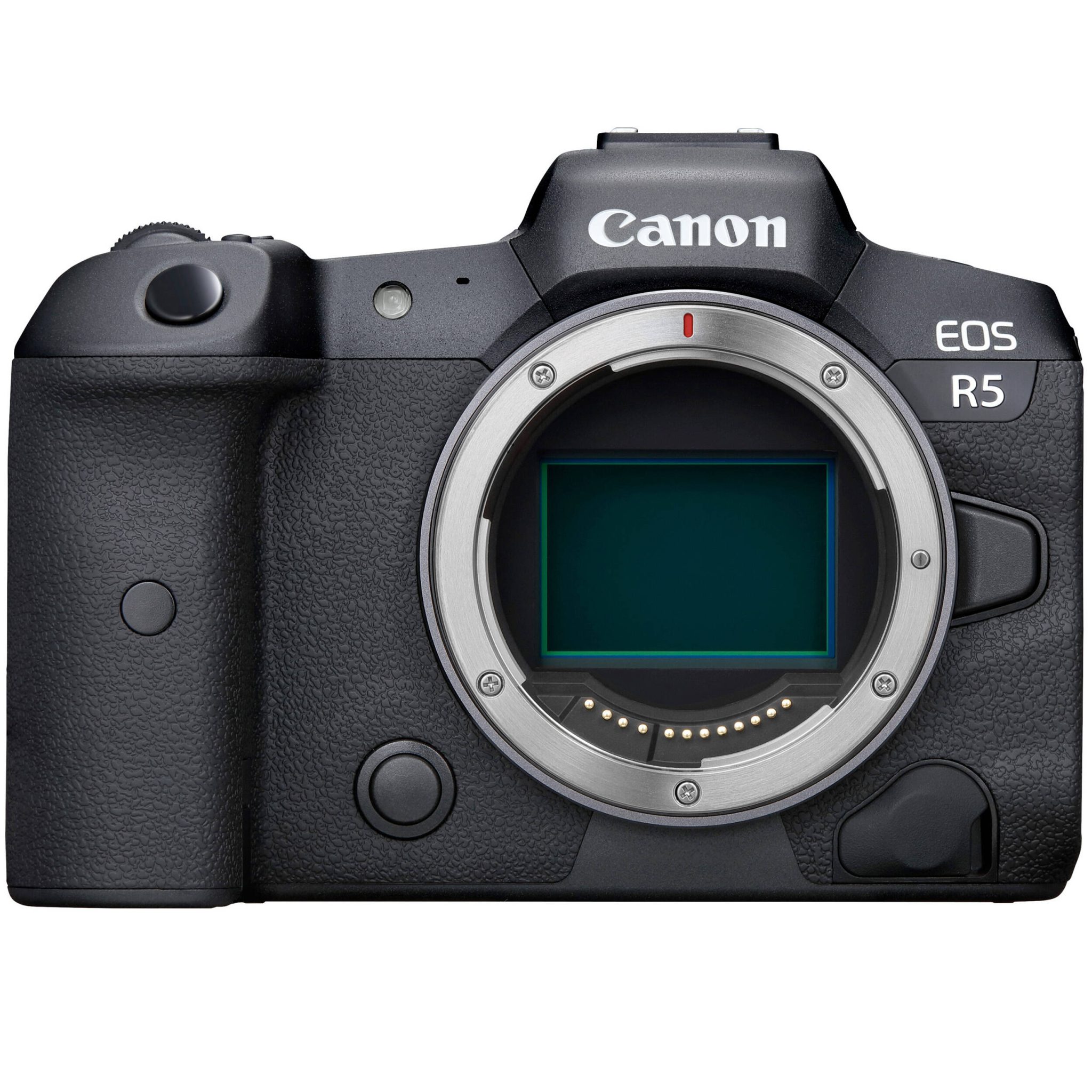 Canon EOS R5 Body (2.4GHz) with RF 100-500mm f/4.5-7.1 IS USM Lens